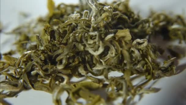 Rotation du thé vert feuillu sur fond blanc 