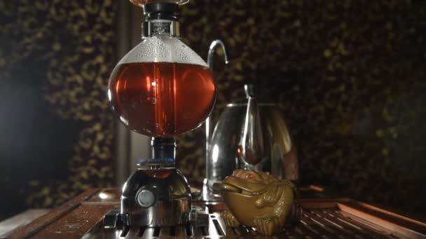 Preparation of tea in siphon — Stock Video