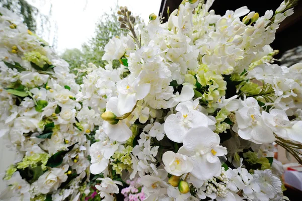 Hochzeitsbogen aus weißen Orchideen und Rosen — Stockfoto