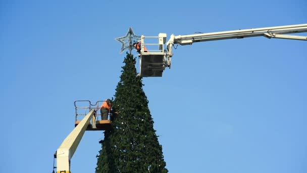 Decoración de un gran árbol de Navidad urbano. — Vídeo de stock