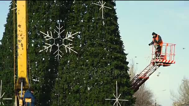 Díszítés egy nagy városi karácsonyfa. — Stock videók