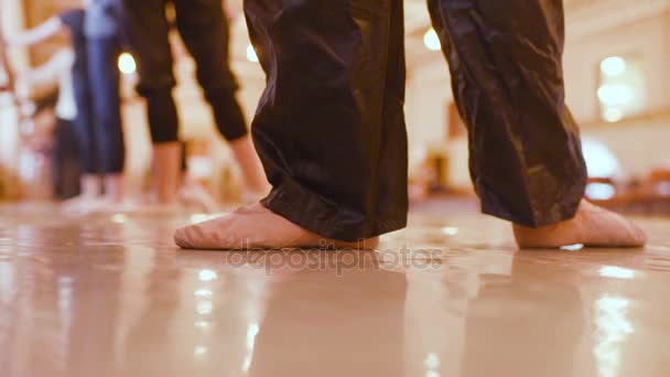 A trupe de balé ensaia em uma aula de balé — Vídeo de Stock
