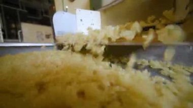 bitki ve gıda üretim makarna.