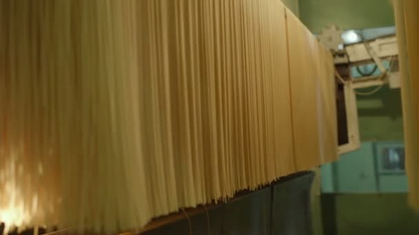 Produzione di pasta o tagliatelle — Video Stock