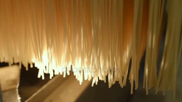 Produktion av pasta eller nudlar — Stockvideo