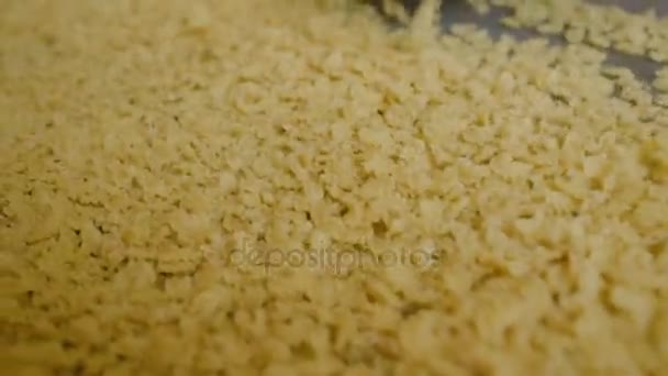 Plant and food production of pasta. — Stock Video
