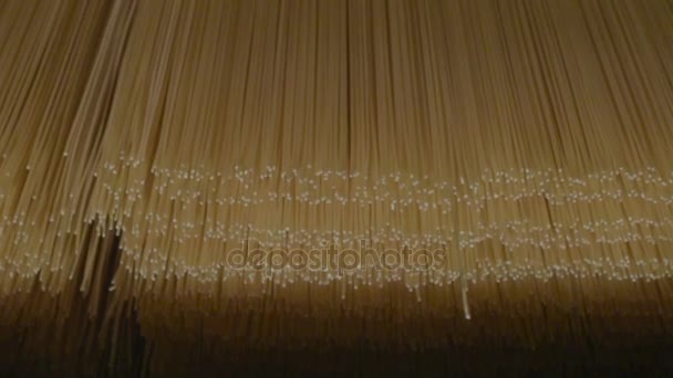 Production of pasta or noodles — Stock Video