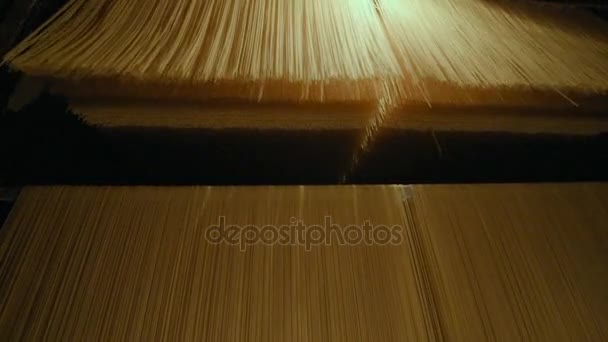 Producción de pasta o fideos — Vídeos de Stock