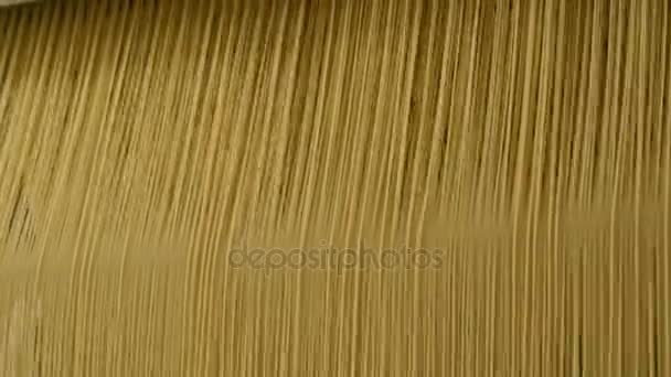 Food production of pasta or noodle — Stock Video