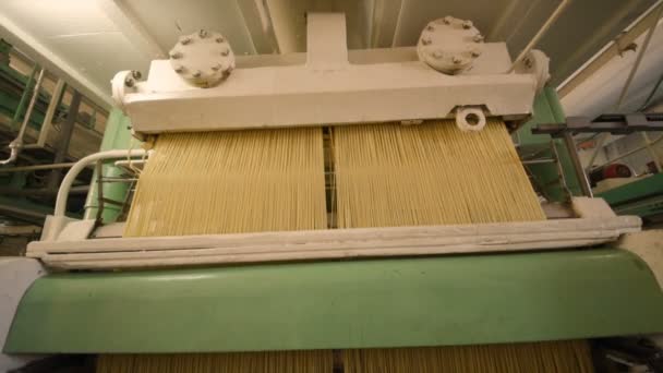 Produzione di pasta o tagliatelle — Video Stock