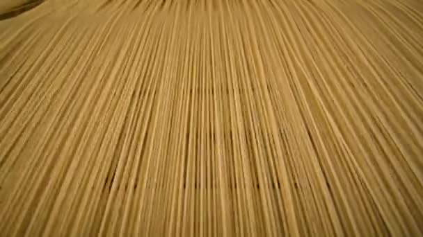 Livsmedelsproduktionen av pasta eller nudlar — Stockvideo