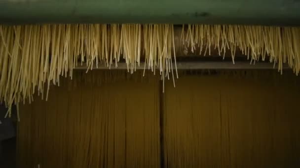 Produzione alimentare di pasta o tagliatelle — Video Stock