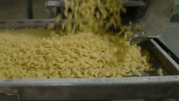 Produzione di pasta o tagliatelle — Video Stock