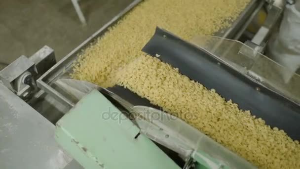 Produzione di pasta o tagliatelle — Video Stock