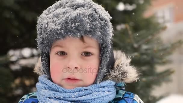 Милый мальчик в зимней одежде и в шляпе на фоне снега и елки . — стоковое видео