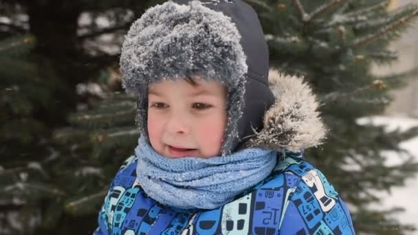 Милий хлопчик в зимовому одязі і в капелюсі на фоні снігу і ялинки . — стокове відео