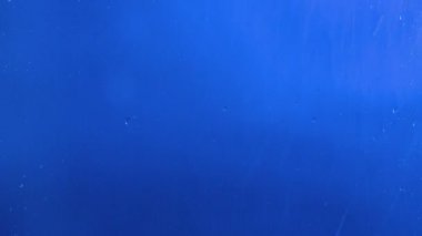 bir cam ya da bir yakın çekim pencere arkasında su damlaları