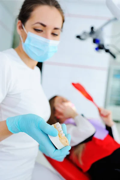 Az állkapocs, a kezében a fogorvos Impresszum — Stock Fotó