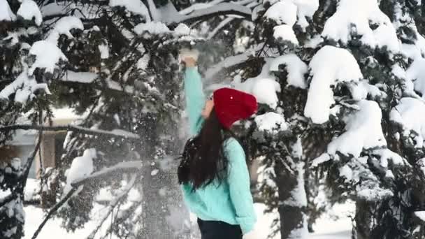 Una joven atractiva en un suéter azul de punto cálido y un sombrero rojo se divierte, sonríe, trota una rama cubierta de nieve y cae nieve sobre ella . — Vídeos de Stock