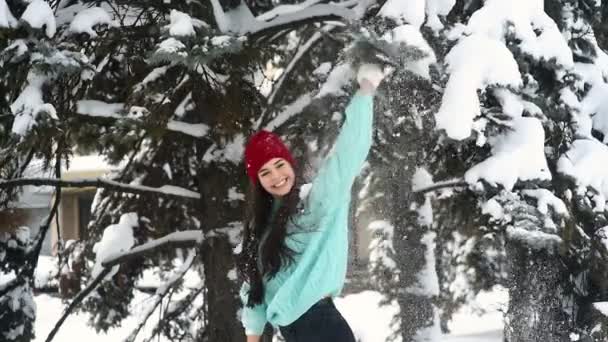 Atrakcyjna młoda kobieta w ciepłym, dzianinowym niebieskim swetrze i czerwonym kapeluszu bawi się, uśmiecha, kłusuje po pokrytej śniegiem gałęzi i pada na nią śnieg. — Wideo stockowe