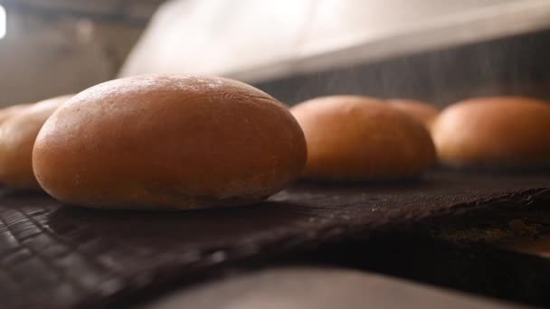 Brot kommt in Großaufnahme auf einem Förderband aus dem Ofen und wird mit Wasser besprüht, um vor dem Hintergrund einer Bäckerei Glanz und Glanz zu verleihen — Stockvideo