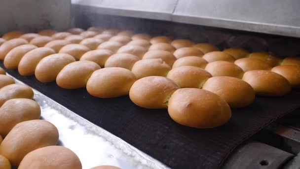 Il pane esce dal forno in primo piano su un nastro trasportatore e viene spruzzato con acqua per aggiungere lucentezza e lucentezza sullo sfondo di una panetteria. — Video Stock