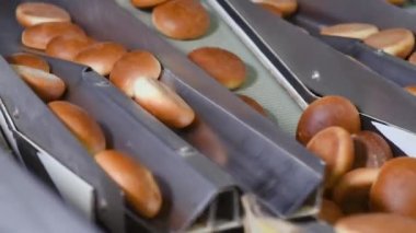 Sıcak taze pişmiş hamburgerler ekmek fabrikasının arka planında konveyör bandına biniyor.