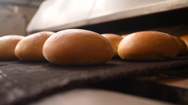 Il pane esce dal forno in primo piano su un nastro trasportatore e viene spruzzato con acqua per aggiungere lucentezza e lucentezza sullo sfondo di una panetteria. — Video Stock