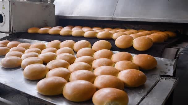 Il pane esce dal forno in primo piano su un nastro trasportatore e viene spruzzato con acqua per aggiungere lucentezza e lucentezza sullo sfondo di una panetteria. — Video Stock