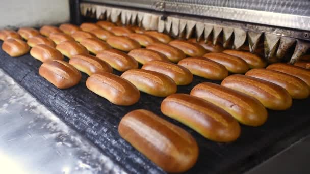 Fresh hot flavorful loaves and pastries come out of the oven — Stock Video