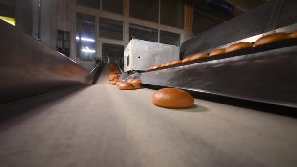 Sıcak taze pişmiş hamburgerler ekmek fabrikasının arka planında konveyör bandına biniyor. — Stok video