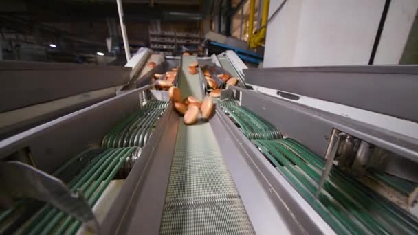 Heiße frisch gebackene Burger-Brötchen fahren auf einem Förderband vor dem Hintergrund einer Brotfabrik — Stockvideo