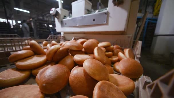 Pequeña boca riego bollos de hamburguesa salen del horno en el transportador de línea de producción de una fábrica de pan o panadería — Vídeo de stock