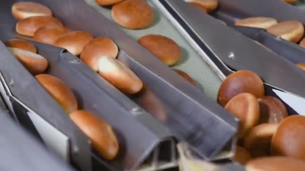 Forró frissen sült Burger zsemle lovagolni egy szállítószalag hátterében egy kenyérgyár — Stock videók