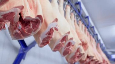 Domuz leşleri bir et işleme tesisinin arka planına kancalarla yaklaşır.