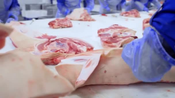 Rzeźnicy kroili wieprzowinę w zakładzie przetwórstwa mięsnego w warsztacie rozbioru. — Wideo stockowe
