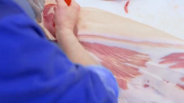 Carniceros cortan carne de cerdo en la planta de procesamiento de carne en la tienda de corte . — Vídeos de Stock