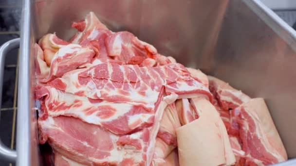 Indústria alimentar, transformação da carne . — Vídeo de Stock