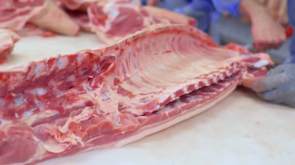 DONETSK, UKRAINE-NOVEMBER 14, 2019-Food industry, meat processing. 푸줏간에서 고기 가공 공장에서 돼지고기를 자르는 사람들. — 비디오