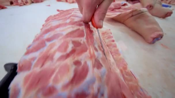 Metzger schneiden Schweinefleisch in der Fleischverarbeitungsanlage in der Schneiderei. — Stockvideo