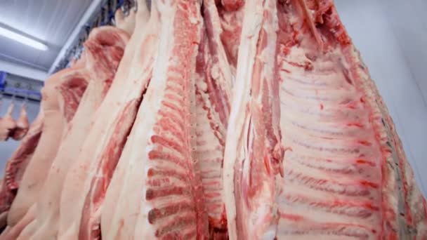Varkenskarkassen close-up van haken tegen de achtergrond van een vleesverwerkingsbedrijf — Stockvideo