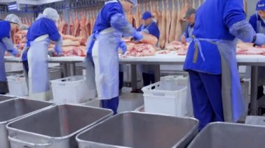 DONETSK, UKRAINE-ARALIK 15. 2018-çalışanlarından oluşan bir et işleme fabrikasında endüstriyel gıda üretiminin arka planına karşı taze domuz eti doğradı