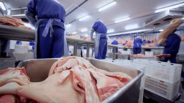 DONETSK, UKRAINE-15 DÉCEMBRE 2018-Industrie alimentaire, transformation de la viande. Bouchers de porc coupé à l'usine de transformation de la viande dans la boutique de découpe . — Video