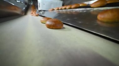 Sıcak taze pişmiş hamburgerler ekmek fabrikasının arka planında konveyör bandına biniyor.