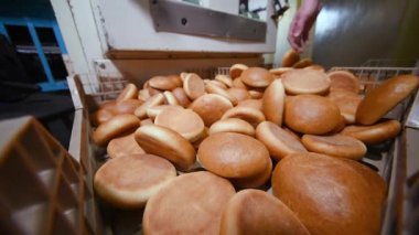 Sıcak taze pişmiş hamburgerler ekmek fabrikasının arka planında konveyör bandına biniyor.