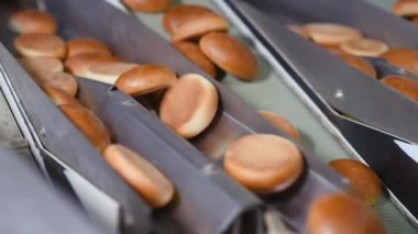 Küçük ağız sulandırıcı hamburgerler fırından ekmek fabrikası ya da fırının üretim hattında çıkar.