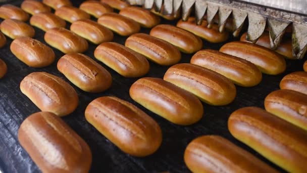 Fresco quente saboroso pães e doces saem do forno — Vídeo de Stock