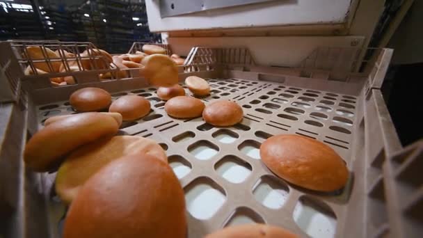 Warm vers gebakken Burger broodjes rit op een transportband tegen de achtergrond van een broodfabriek — Stockvideo