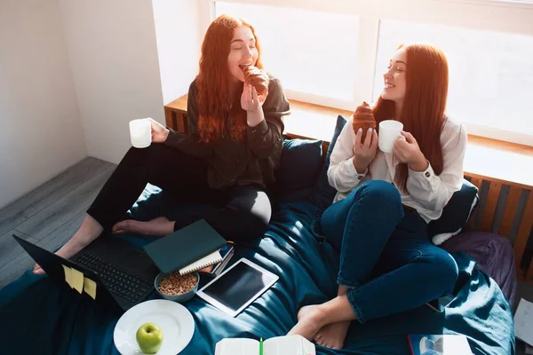 Take a break, eat in between classes.Two red-haired students study at home or in a student dormitory. they are preparinf for exams.
