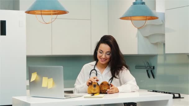 Mladá žena pracuje doma během karantény. Samice veterinář držet dvě hnědé morčata na stole a ukázat jim on-line na notebooku webové kamery. Video hovor a ukázka domácího mazlíčka. — Stock video
